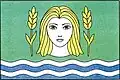 Flag of Litošice