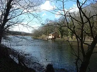 photo of water and trees