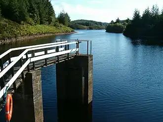 A lake surrounded by trees