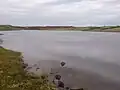 Loch Watenan is a freshwater loch, located in basin that may have been caused by ice erosion.