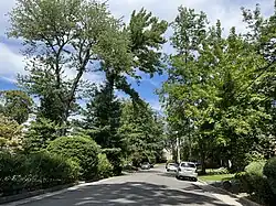 Locust Street in Great Neck Gardens in 2022