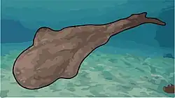 {{{image-alt}}}