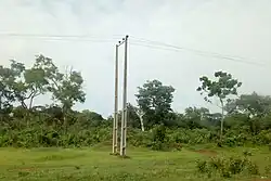 Lokoja Vegetation