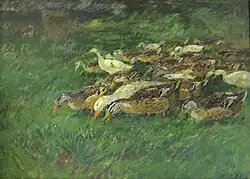 Ducks