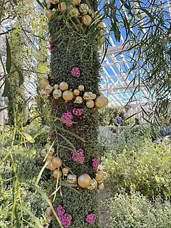 Longwood Gardens Christmas Decor 2025