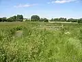 Preston Marshes
