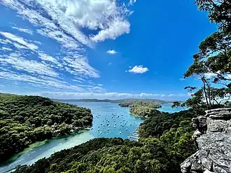 Lovett Bay viewed from Ku-ring-gai Chase National Park