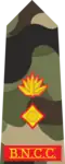 Lt. Colonel