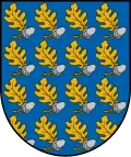 Coat of arms of Lubāna Municipality