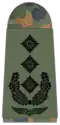 Germany (oberst)