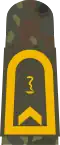 Fähnrich zur See SanOA (Navy MOA, field uniform mounting loop, studying pharmacy, patch not interrupting border)