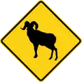 W11-18 Ram
