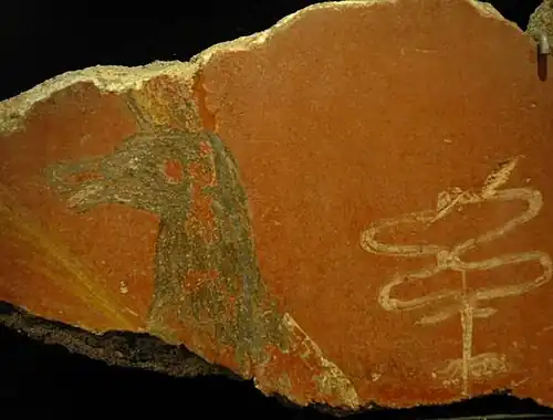 Hermanubis, depicted on a wall painting in an Isis Santuary, Mainz