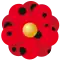 2017