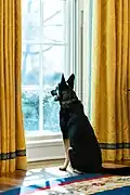 Major in the Oval Office in January 2021