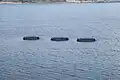 Fish farms