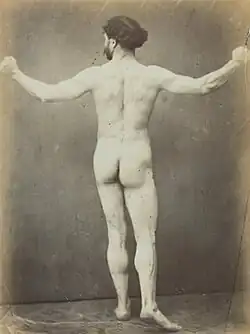 Black and white photograph of nude male figure viewed from behind, circa 1870