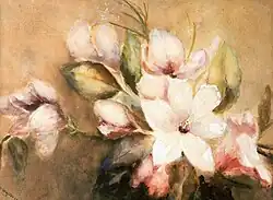 Magnoliatak