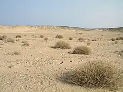 Image 17Desert scene in Egypt (from Habitat)