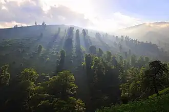 Masal