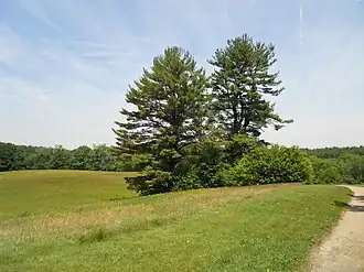 Landscape