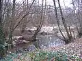 River Rother near Sheet Mill