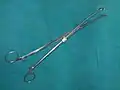 Willet's scalp traction forceps