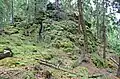 Heavily eroded outcrops