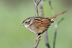 In Quebec, Canada