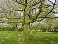 German World War I military cemetery