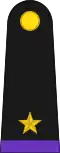 Mayor