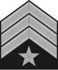 Segundo maestre (Mexican Navy)[8]
