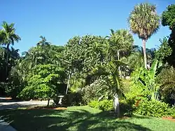 One of the paths in the garden.