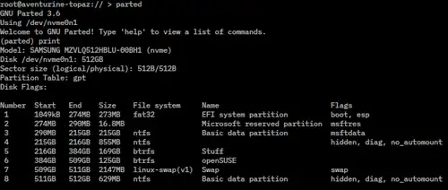 Screenshot of GNU Parted showing Microsoft basic data partitions within a GUID Partition Table