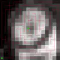 An image with two markers (green), and a Minimum Spanning Forest computed on the gradient of the image.