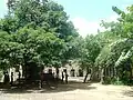 The compound of the canteen