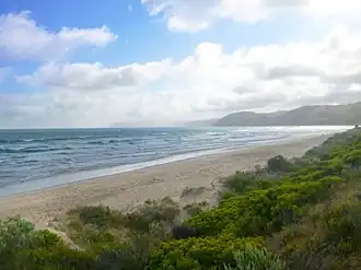 Moggs Creek beach