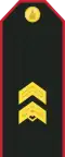 Aхлагч Akhlagch (Mongolian Ground Force)[10]