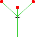 Simple dichasium