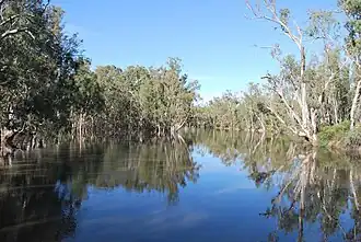 Edward River at Morago
