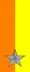 99th, 100th Regiment "Treviso"