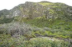 Mt. Merapi, Ijen