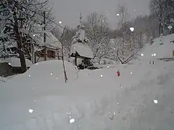 Near Lake Lokve