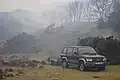 Gorse burning, February 2010