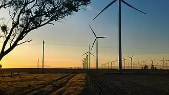 Photograph of Murra Warra Wind Farm, December 2024