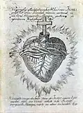 18th-century depiction of the Sacred Heart from the vision of Marguerite Marie Alacoque (d. 1690). The heart is both "heart-shaped" and drawn anatomically correct, with both the aorta and the pulmonary artery visible, with the crucifix placed inside the aorta.