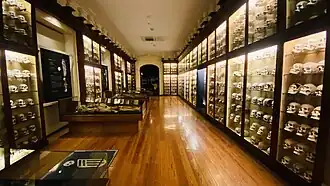 The Verneau room