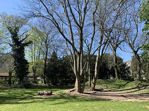 Muses Park