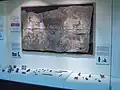 Artifacts retrieved from Hacilar neolithic site