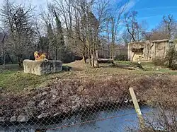 House for lions